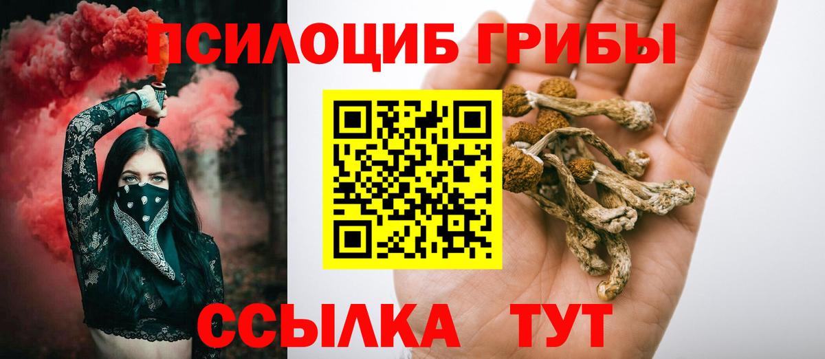 Галлюциногенные грибы мицелий  Вход с VPN  Протвино 