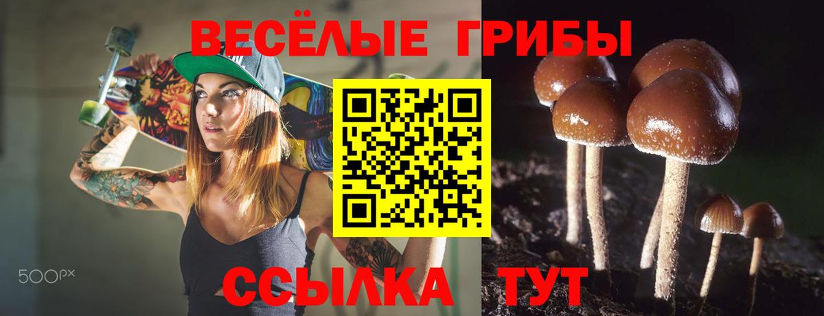 Псилоцибиновые грибы MAGIC MUSHROOMS Протвино